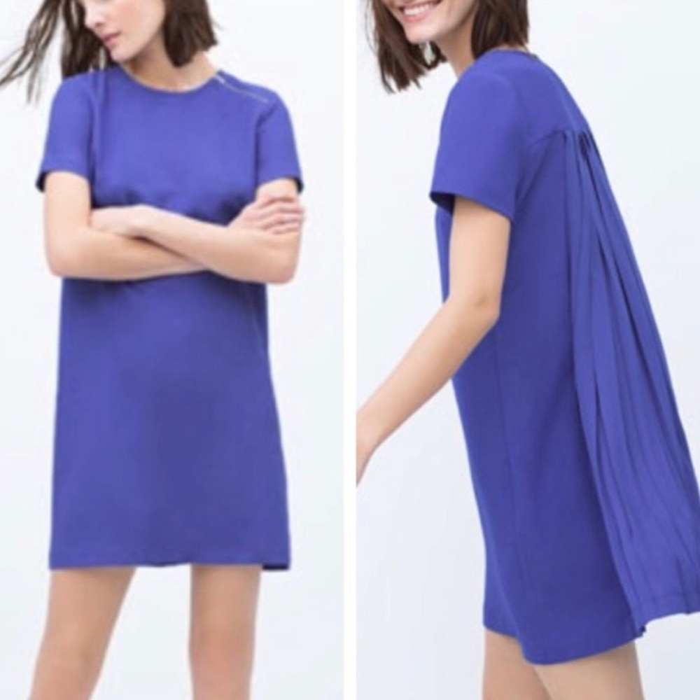 Zara pleat back dress